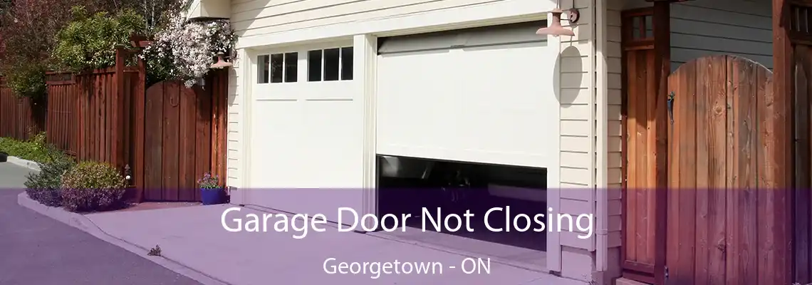 Garage Door Not Closing Georgetown - ON