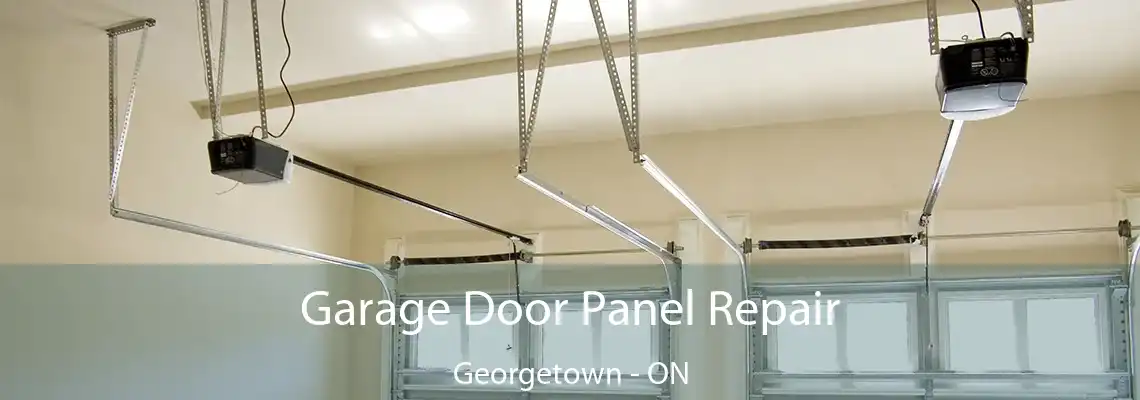 Garage Door Panel Repair Georgetown - ON